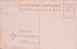Почтовая карточка "Гатчино. Паркъ. Видъ съ горбатаго мостика"