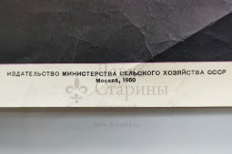 Производственный плакат «Содержи в порядке спецодежду», художник Бирюков А., изд-во «МСХ СССР», Москва, 1960 г.