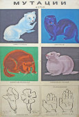 Советский плакат с мутациями норки, львиного зева и руки