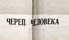 Учебное наглядное пособие «Череп человека», авторы Кабанов А. Н. и Беляев В. А., художник Оболенский С. Г., 1962 г.