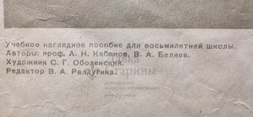 Учебное наглядное пособие «Череп человека», авторы Кабанов А. Н. и Беляев В. А., художник Оболенский С. Г., 1962 г.