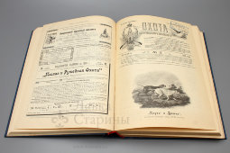 Подшивка старинных журналов «Охота», номера со 2 по 36 за 1904 г., твердый переплет, Царская Россия