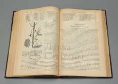 Книга «Общая физиология. Введение в изучение естествознания и медицины», перевод с немецкого, Санкт-Петербург, 1902 г.