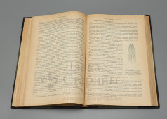 Книга «Общая физиология. Введение в изучение естествознания и медицины», перевод с немецкого, Санкт-Петербург, 1902 г.