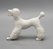 Советская фарфоровая статуэтка «Собака породы пудель белый», анималистика, Вербилки