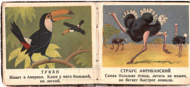 Старинная детская книжка «Первое знакомство с животными», книгоиздательтство Г. Ф. Мириманова