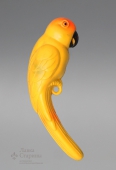 Попугай, СССР, 1950-е гг., целлулоид