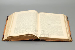 Учебник кожных и половых болезней с цветными иллюстрациями, С.-Петербург, 1910 г.