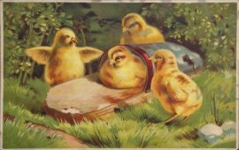 Старинная пасхальная открытка «Цыплята»