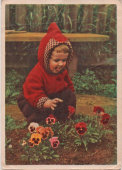 Почтовая открытка «Анютины глазки», СССР, ИЗОГИЗ, Полиграфкомбинат, г. Калинин, 1963 г.