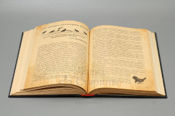 Подшивка советского журнала «Боец. Охотник» за 1936 год, номера с 1 по 12