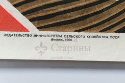 Производственный плакат «Берегись поражения током при работе с электроинструментом!», художник Бирюков А., изд-во МСХ СССР, Москва, 1960 г.