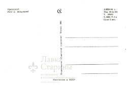 Советская почтовая открытка «Проснулся», СССР, Советский художник, 1964 г.
