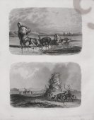 Гравюра «Народы севера», Германия, 1852 г., бумага