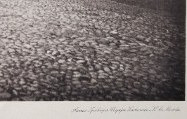 Старинная фотогравюра «Церковь Филиппа Апостола при Иерусалимском подворье близ Арбатских ворот», фирма «Шерер, Набгольц и Ко», Москва, 1881 г.