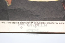 Производственный плакат «Работай исправной оправкой из мягкой стали», художник Бирюков А., изд-во МСХ СССР, Москва, 1960 г.