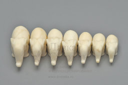 Комплект винтажных слоников из 7 штук, мрамор, редкость, СССР, 1960-70 гг.