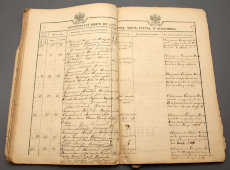 Метрическая книга со сведениями об умерших в 1914 г., Российская империя