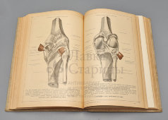 Старинная книга «Анатомический атлас для студентов и врачей», 11-е издание, автор Карл Тольдт, изд-во «Врач», Берлин, 1921 г.