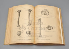 Старинная книга «Анатомический атлас для студентов и врачей», 11-е издание, автор Карл Тольдт, изд-во «Врач», Берлин, 1921 г.