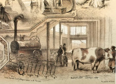 Литография «Выставка произведений сельского хозяйства и промышленности», Русский художественный листок В. Тимма № 32, 1860 г.