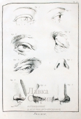 Гравюра «Наброски частей лица»