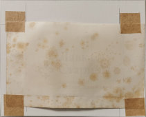 Гравюра в паспарту «Наполеон на перевале Сен-Бернар», Европа, 19 в.