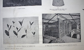 Старинная гравюра «Чай»