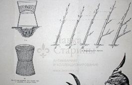 Старинная гравюра «Чай»