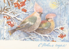 Почтовая карточка «С новым годом! Свиристели на рябине», 1975 год
