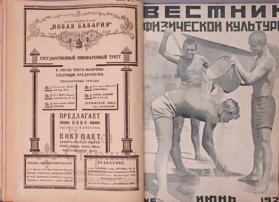 Вестник физической культуры и спорта