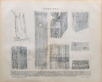 Старинная гравюра «Древесина», бумага, Брокгауз и Ефрон​, Санкт-Петербург, 1890-е