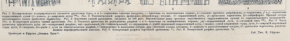 Старинная гравюра «Древесина», бумага, Брокгауз и Ефрон​, Санкт-Петербург, 1890-е